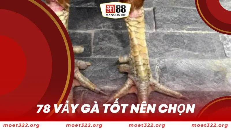 78 vảy gà tốt nên chọn